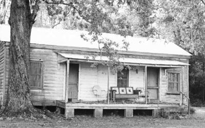Slave Cabins at Gregg Plantation (Francis Marion University)