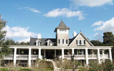 Magnolia Plantation