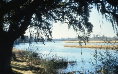 Pee Dee River Rice Planters Historic District