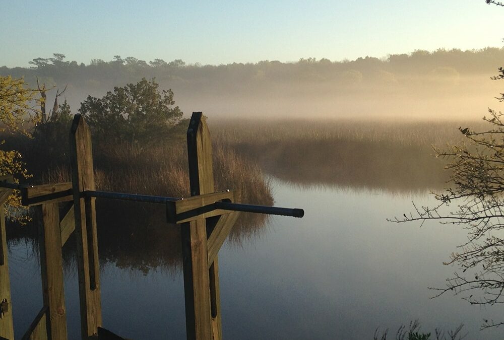 Consumer Affairs: Charleston is steeped in history, but it’s also a great beach town