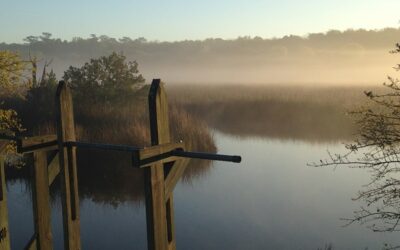 Stono River Slave Rebellion Site