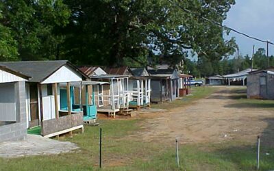 Camp Welfare