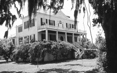 Coffin Point Plantation