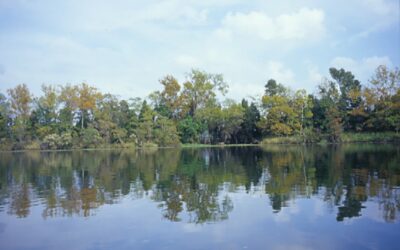 Cooper River Historic District, include Cypress Gardens