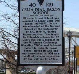Blossom Street School