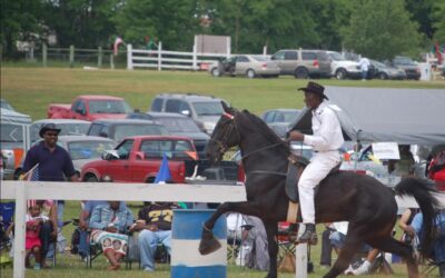 Greenfield Farm: Site of the SC Black Cowboy Festival